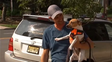 Dog reunited with owner after being snatched from front porch in New Jersey